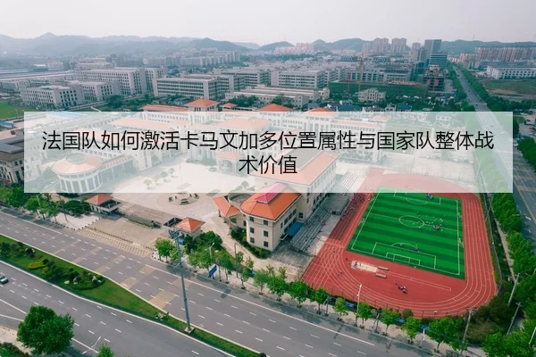 法国队如何激活卡马文加多位置属性与国家队整体战术价值